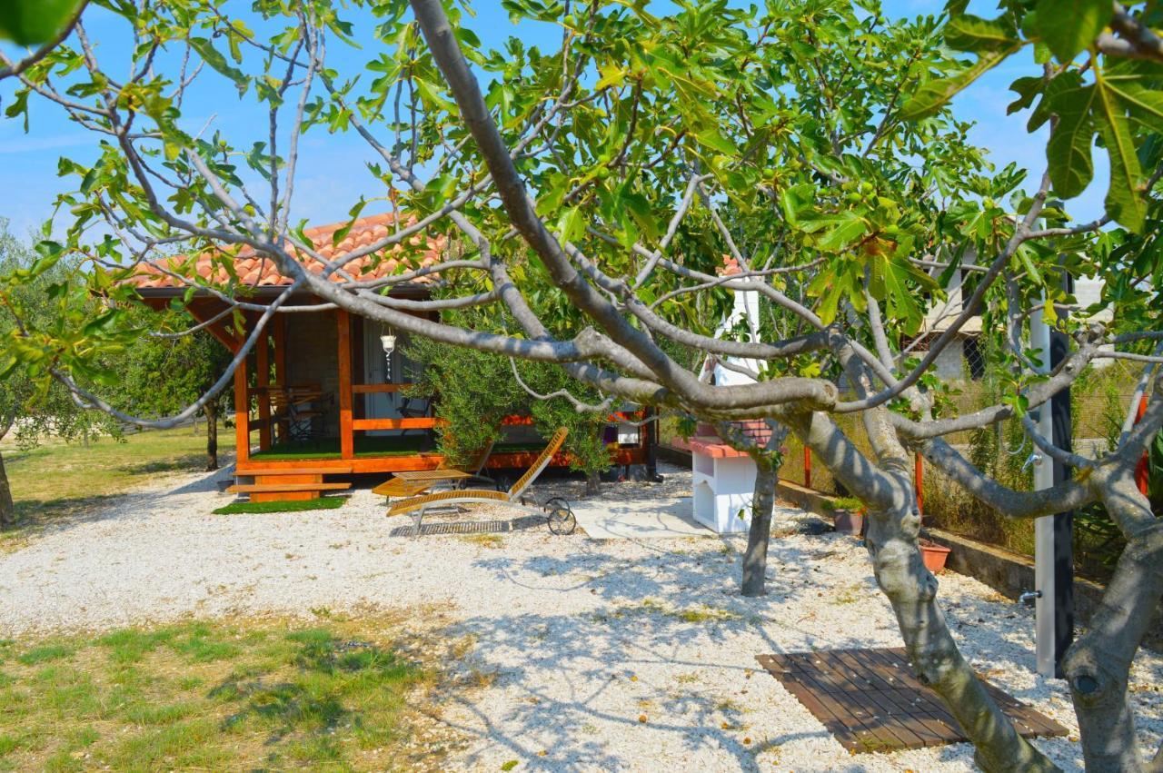 Studio Apartments Luka Biograd - Benkovac Eksteriør bilde
