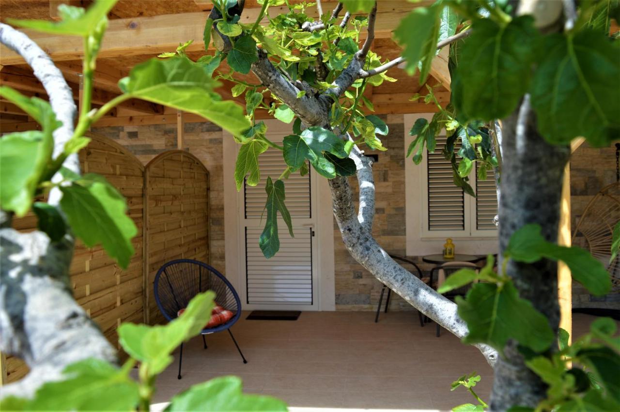Studio Apartments Luka Biograd - Benkovac Eksteriør bilde