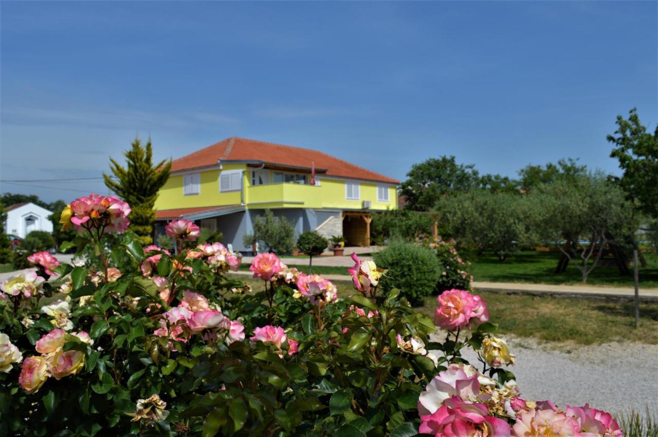 Studio Apartments Luka Biograd - Benkovac Eksteriør bilde